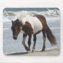 Assateague Island Pony mousepads by lifethroughalens Assateague Island Pony mousepads
