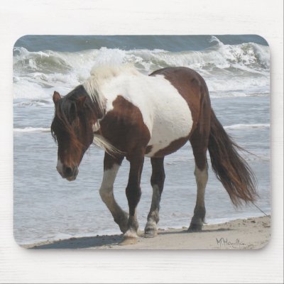 Assateague Island Pony Mouse Mat by lifethroughalens