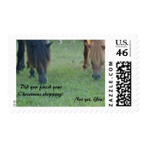Assateague ponies Christmas cards and stamps by holidaywhimsy Assateague ponies Christmas cards and stamps