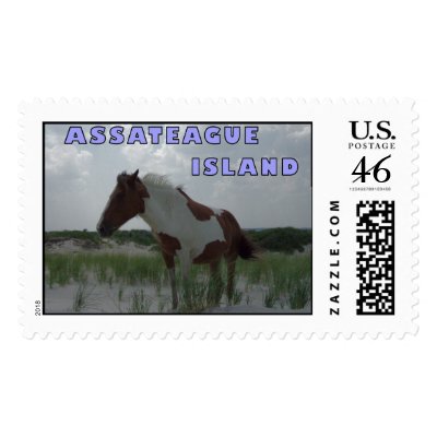 Assateague Wild Horse 2 Stamp by MidnightAkita