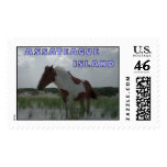 Assateague Wild Horse 2 Stamp
