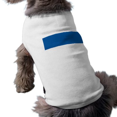 Assen, Netherlands Pet Clothing by bestflag
