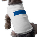 Assen, Netherlands Pet Clothing