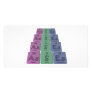 Asses-As-S-Es-Arsenic-Sulfur-Einsteinium Personalized Photo Card