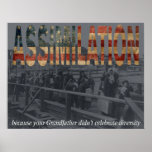 Assimilation Print