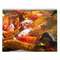 assorted fish calendar
