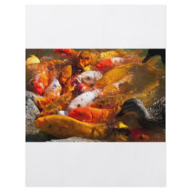 assorted fish flyer