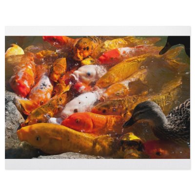assorted fish letterhead by Kachoozie
