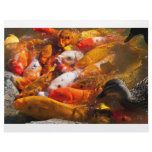 assorted fish letterhead
