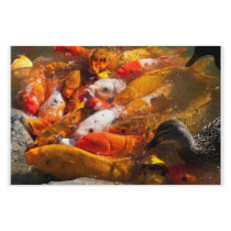 assorted fish stationary personalized stationery