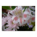 assorted floral poster posters by deesbasenjis assorted floral poster posters