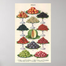 Assorted Fruit on Trays for Catering Poster