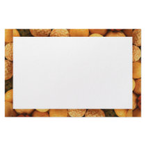 Assorted Nuts Stationery