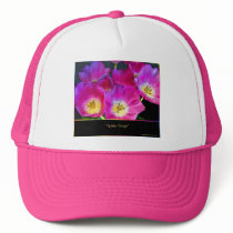 Assortment - Trucker Hat