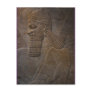 assyrian on the front postcard