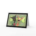 Asta & Etta note cards by gREEDings Asta & Etta note cards