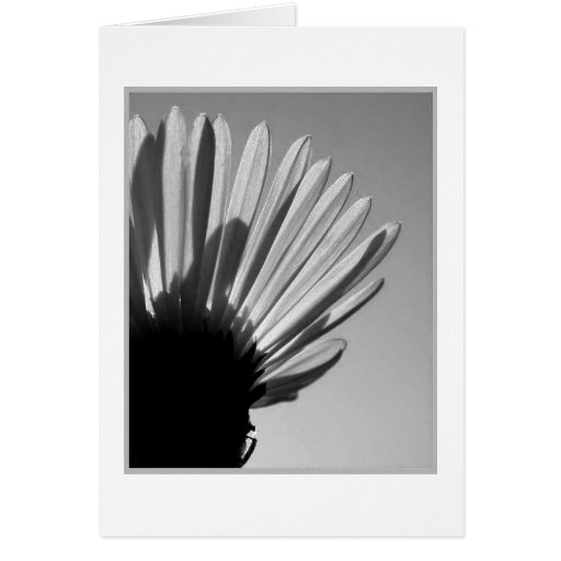 ASTER: A Die Falls . . . Cards