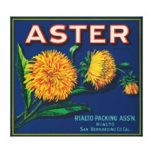 Aster Brand Citrus Crate Label Canvas Print