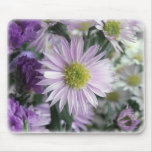 Aster Dream mousepads