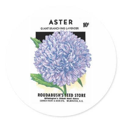Aster, Giant Branching Lavendar, Roudabush's Seed  Round Stickers by vintagegiftmall