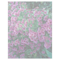 Aster novae-angliae "Alma Potchke", New England as Letterhead Design
