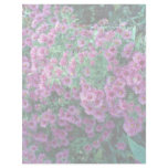 Aster novae-angliae "Alma Potchke", New England as Letterhead Design