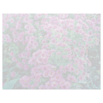 Aster novae-angliae "Alma Potchke", New England as Letterhead Template