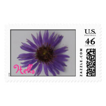 Aster postage