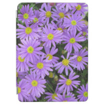 Aster Purple Yellow Green iPad Air Cover at Zazzle