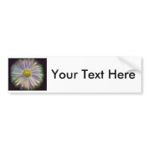 Aster Tataricus Flower With Energy Aura Bumper Stickers