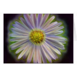 Aster Tataricus Flower With Energy Aura Greeting Card