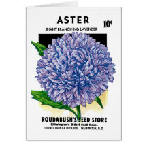 Aster Vintage Seed Packet Card