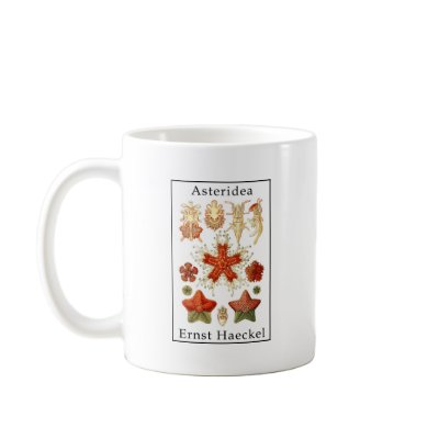 Asteridea by Ernst Haeckel Coffee Mugs by Ernst_Haeckel_Prints