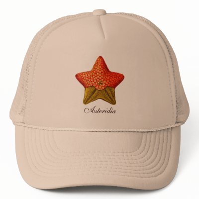 Asteridia (starfish) cap mesh hat by retroz