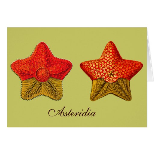 Asteridia (starfish) Greeting Card