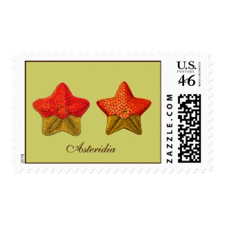Asteridia (starfish) Postage stamp