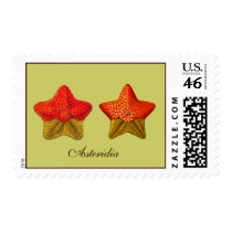 Asteridia (starfish) Postage