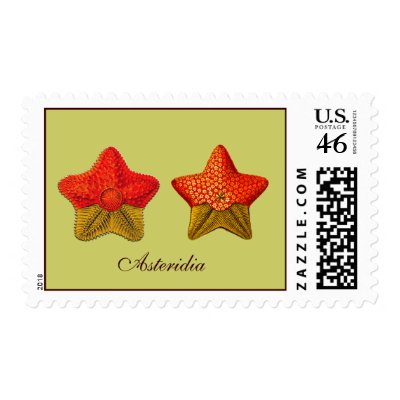 Asteridia (starfish) Postage by retroz