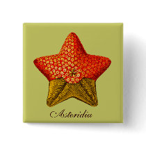Asteridia (starfish) square button by retroz Asteridia (starfish) square button