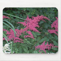 Astilbe “EarthDayContest2007”  mousepads