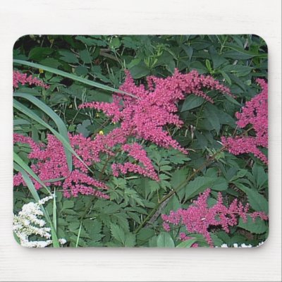 Astilbe “EarthDayContest2007”  Mousepad by eelkat