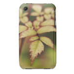 Astilbe Leaves Case-Mate Case Iphone 3 Case-mate Case