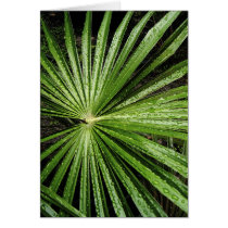 Astral Leaf cards by ArtXpress Astral Leaf cards