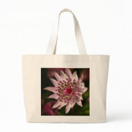 Astrantia Close Up bag