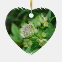 Astrantia Flowers Ornament