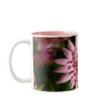 Astrantia With Bee Mugs