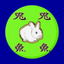 astro chinese rabbit magnets