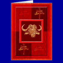 Astro ox cards