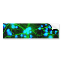 Astrocyte Are Star Shaped Glial Cells in the Brain Bumper Stickers