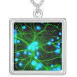 Astrocyte Are Star Shaped Glial Cells in the Brain Necklace